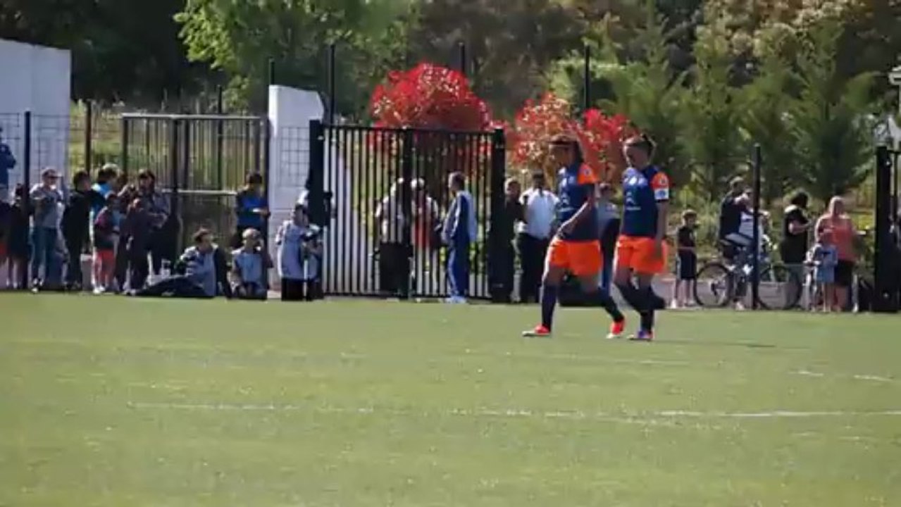 Péno de Ophélie Meilleroux ( CDF demi-finale 2013 )   contre l' OL