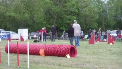 Vodka Concours de St Brevin 2013-05-12