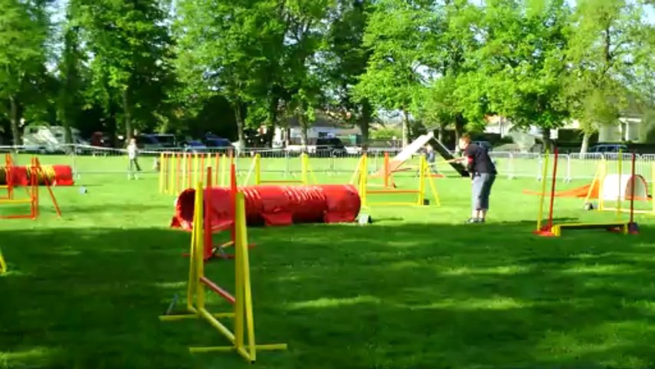 dove agility
