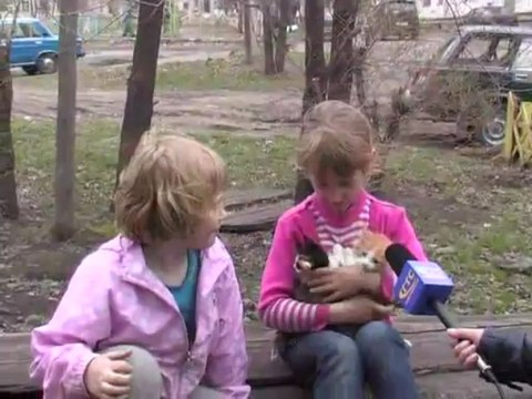 Опрос Как провести лето ?