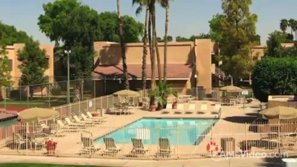 The Shorebird Apartments in Mesa, AZ - ForRent.com