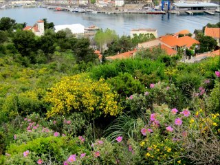 De l'anse des Tamarins à la jetée à Port-Vendres