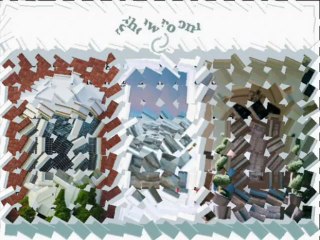 windows Toronto on a budget Design