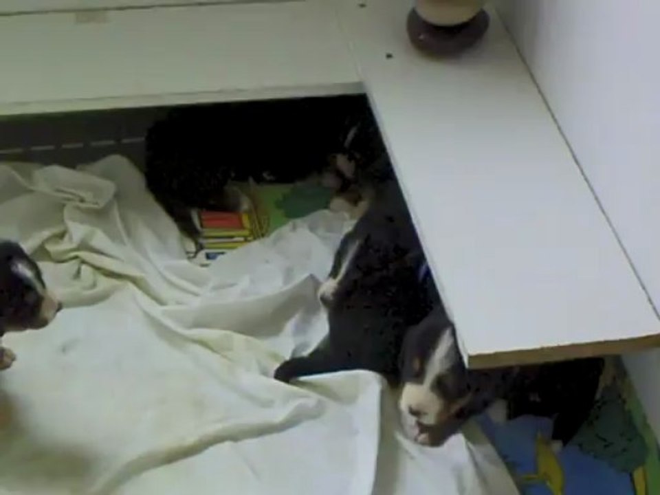CLIP0004