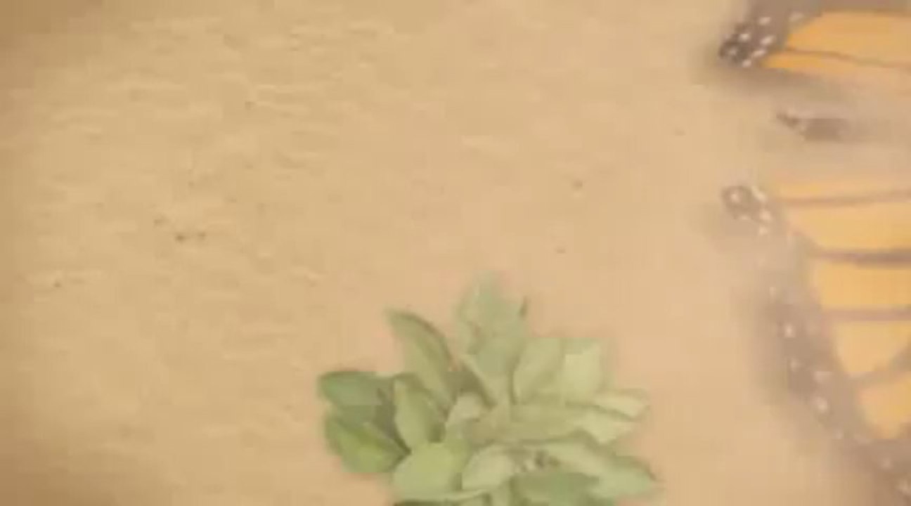 " Paid Surveys At Home - Top #1 Gravity Survey Site On CB (view mobile)  |  Paid Surveys At Home - Top #1 Gravity Survey Site On CB (view mobile) "