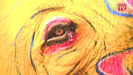 Vidéo Puteaux: Semaine de l'Inde à Puteaux