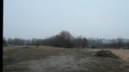 Migration d'hirondelles - Swallow migration