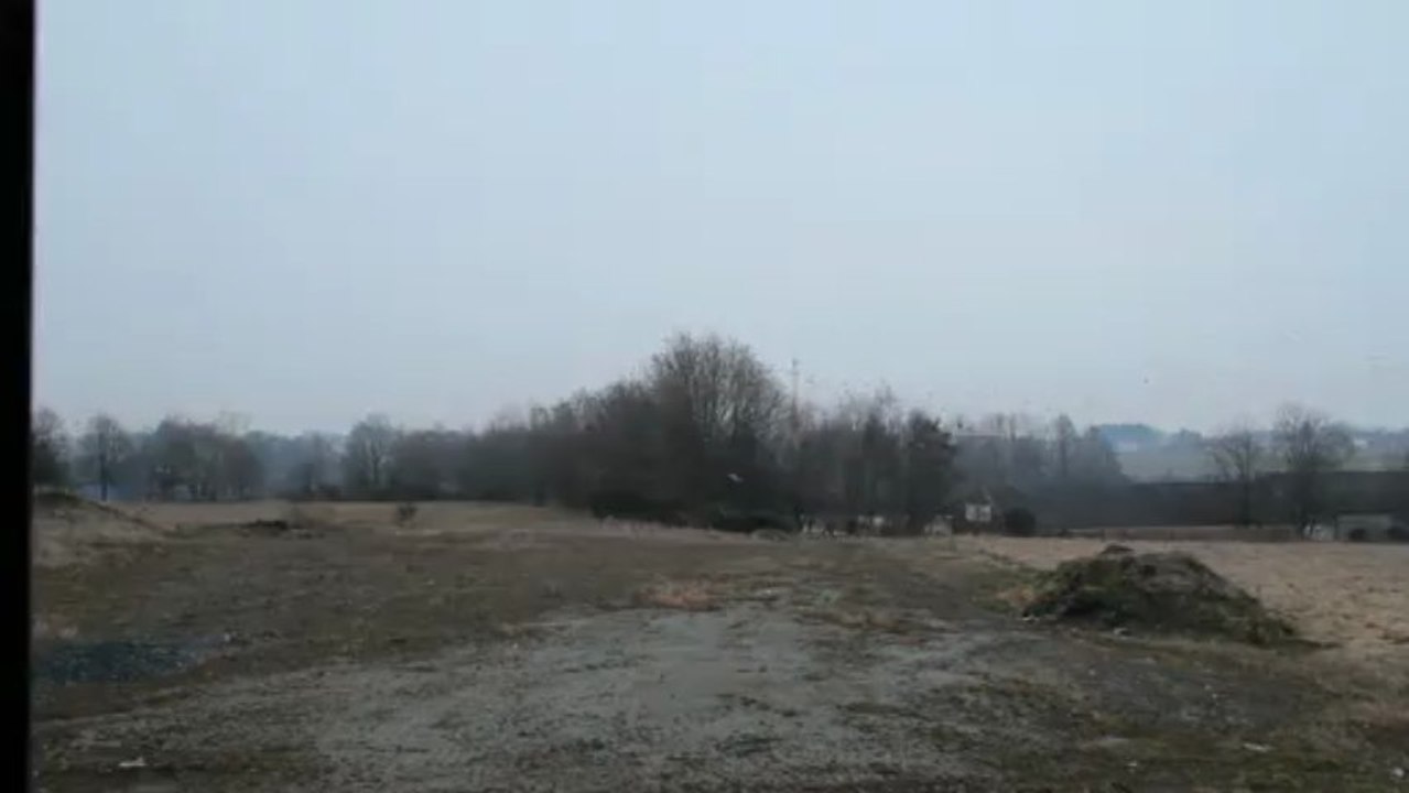 Migration d'hirondelles - Swallow migration