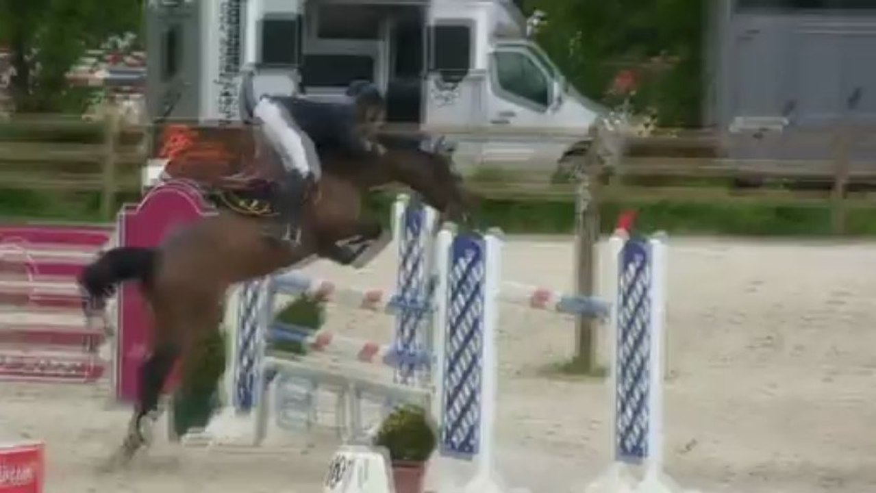 Saturne du Bec by Ibis de Courcel x Muguet du Manoir Grand prix Csi 7 years old Le Mans Barrage