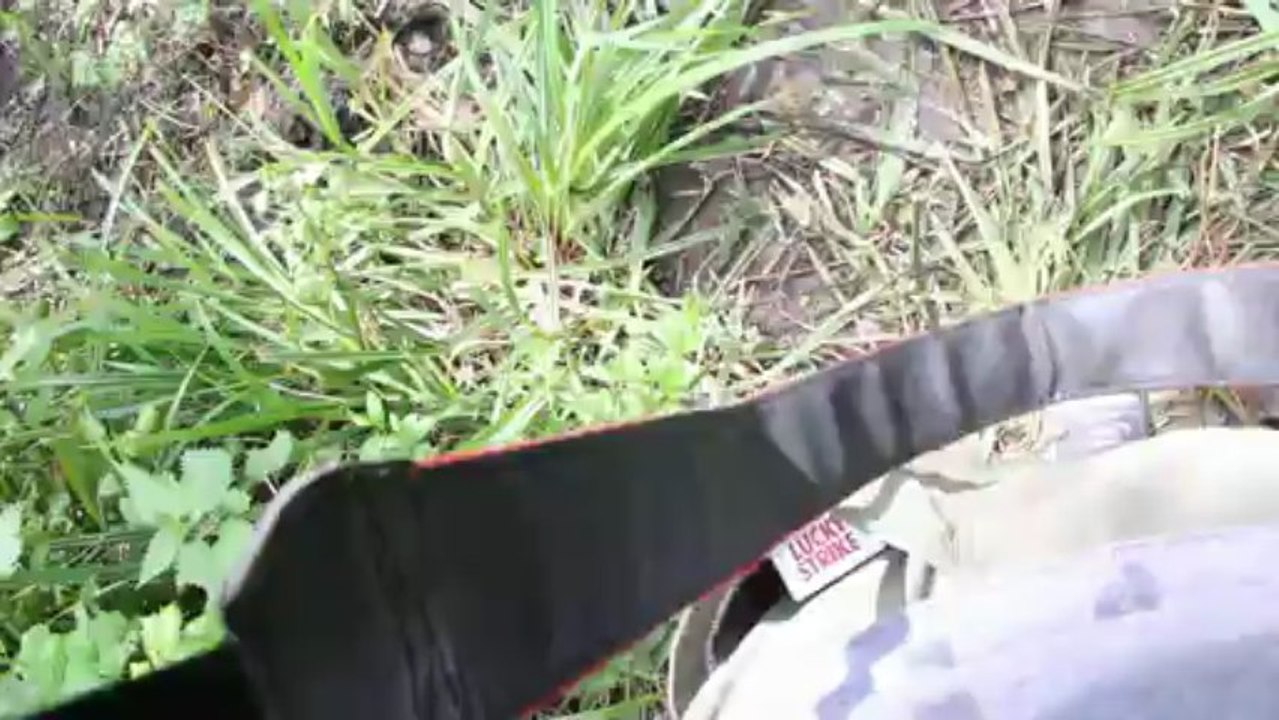 Lisa accro branche filet