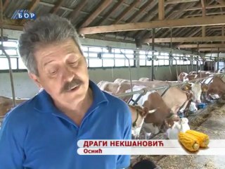 Selo moje, 12. maj 2013.