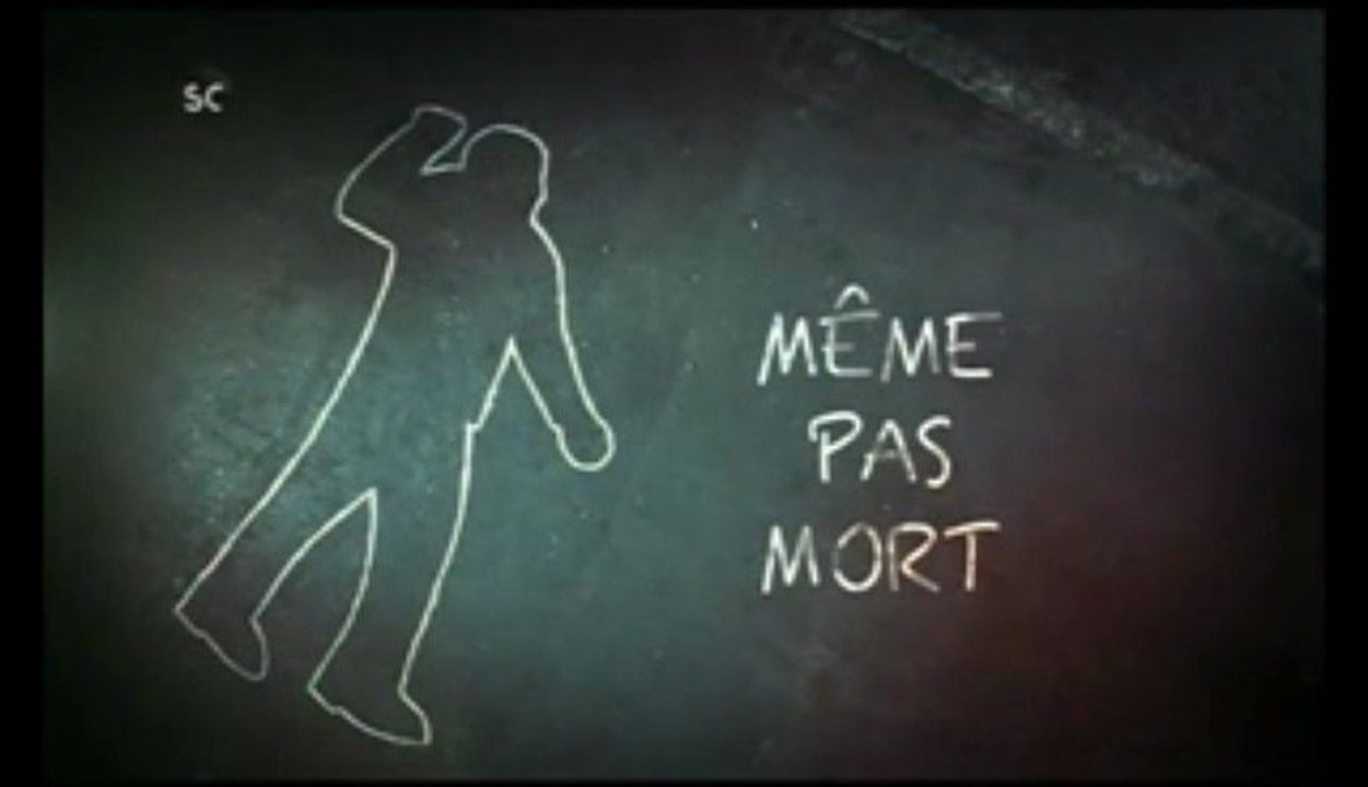 Meme pas mort_Simulacres
