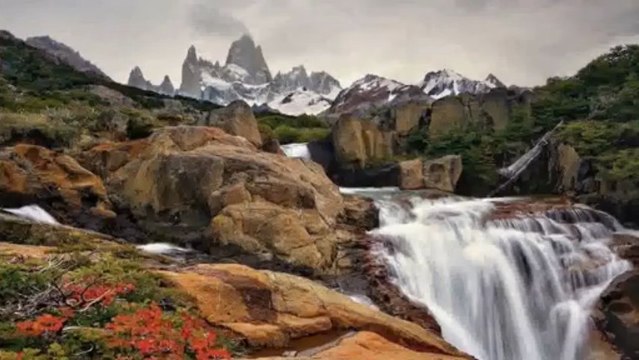 ergül serpil efe - yetiş