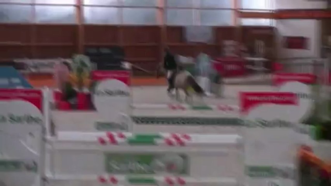 Upina de Beausse P Elite janvier 2013