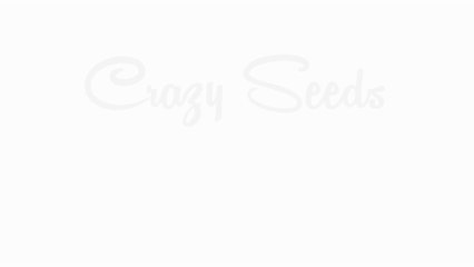 Royal Dwarf (Auto) *Royal Queen Seeds*