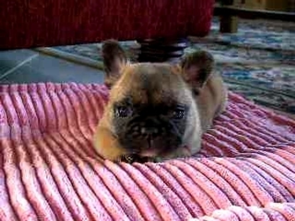 BELLISSIMA 1 mois