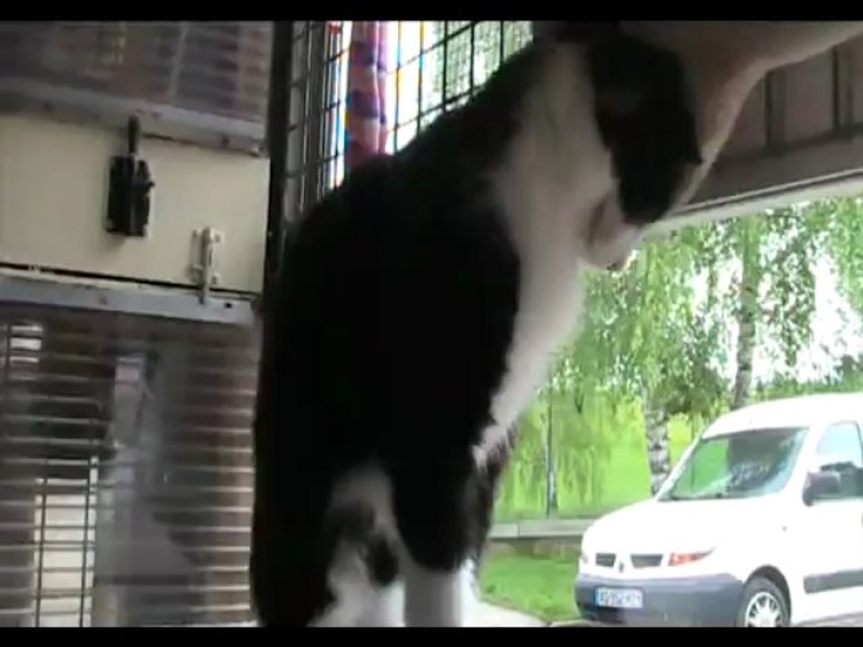 Sacha 08 05 13 (1)