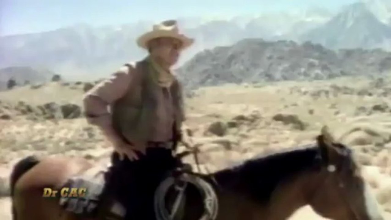 Dr CAC - Syndicat National  des Mangeurs de Chevaux