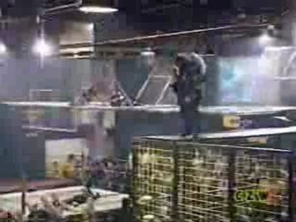 Cage Of Death Tribute,Deathmatch,