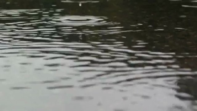 AKLIMA SEN GELINCE - SEYHAN GÜLER