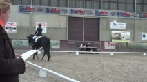 reprise jeunes chevaux 4 ans