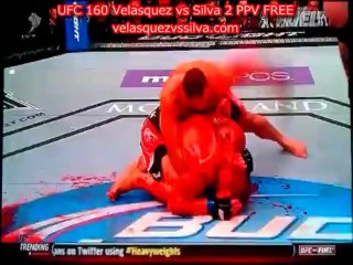 Hunt vs dos Santos full fight