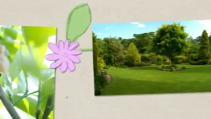 New View Tree Removal LLC - (860) 377-6325