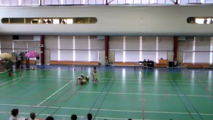 minime excellence sup