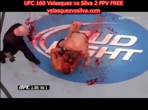 Watch Glover Teixeira vs James Te Huna