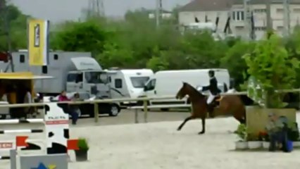 NOEL ET ROCK - GEISPOLSHEIM - 030513 - PRO2V130