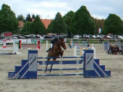 NOEL ET ROCK - ECKWERSHEIM - 120513 - PRO2GP135