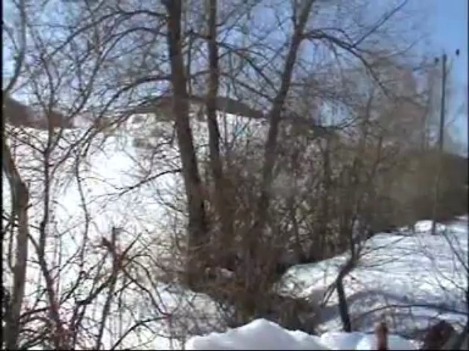 son yıllarda halka hep bir haller oldu