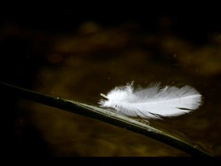 The Upbeats - Falling Into Place