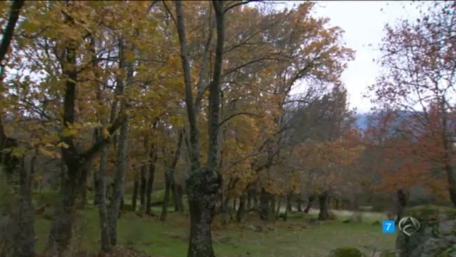 TRISTAN AURORA MARTIN ERA EL QUE DESEABA QUE VIENIERAS ESDPV 13-05-2013