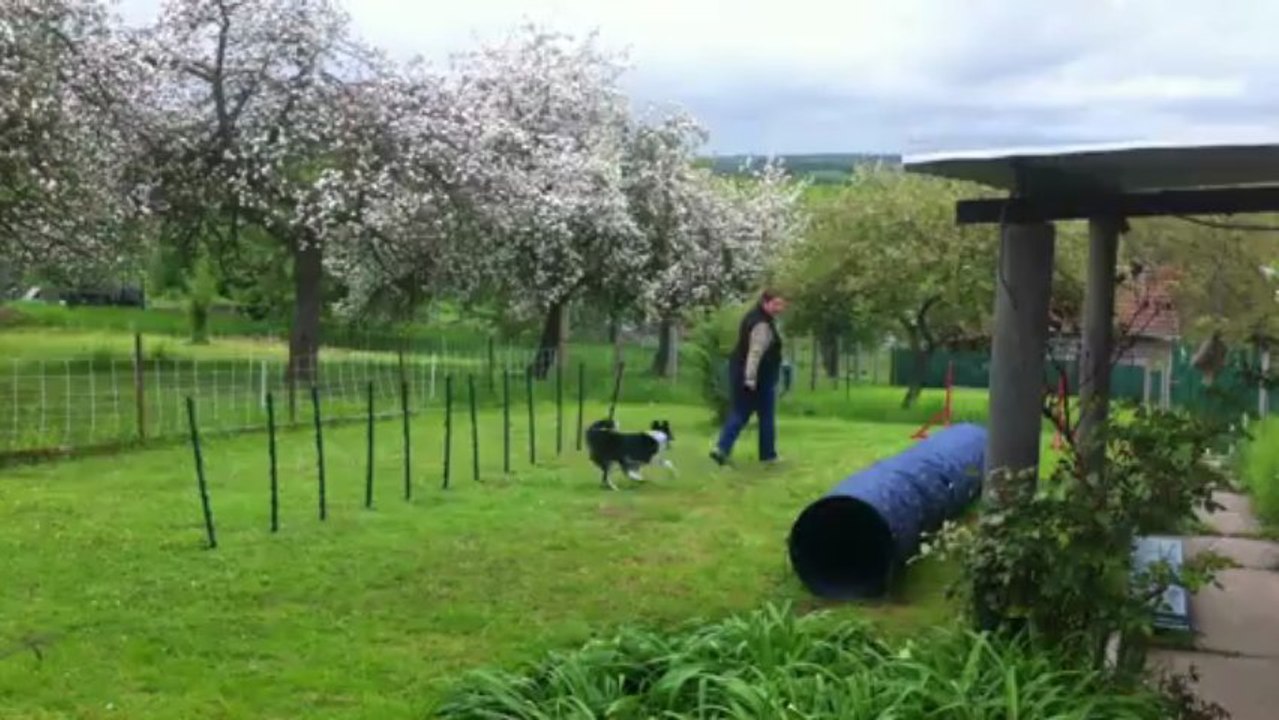 Gin apprentissage du slalom