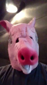 Voici le 1er des 3 petits cochons. Sortie du Grand Méchant Loup le 10 juillet !