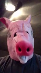 Voici le 1er des 3 petits cochons. Sortie du Grand Méchant Loup le 10 juillet !