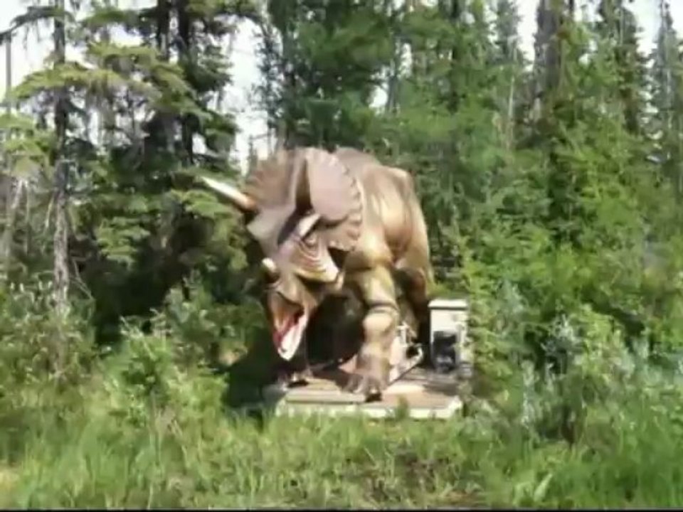 Triceratops dinosaures animatroniques Cuzco animatronics