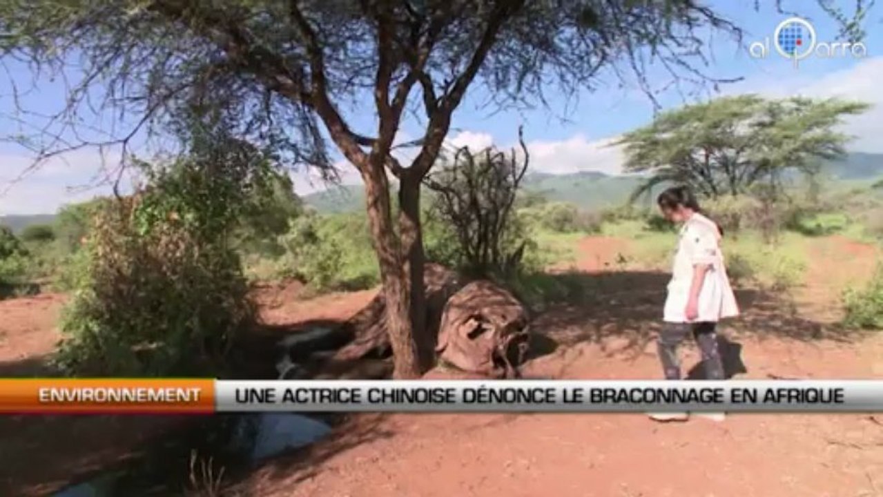 Une actrice chinoise dénonce le braconnage en Afrique