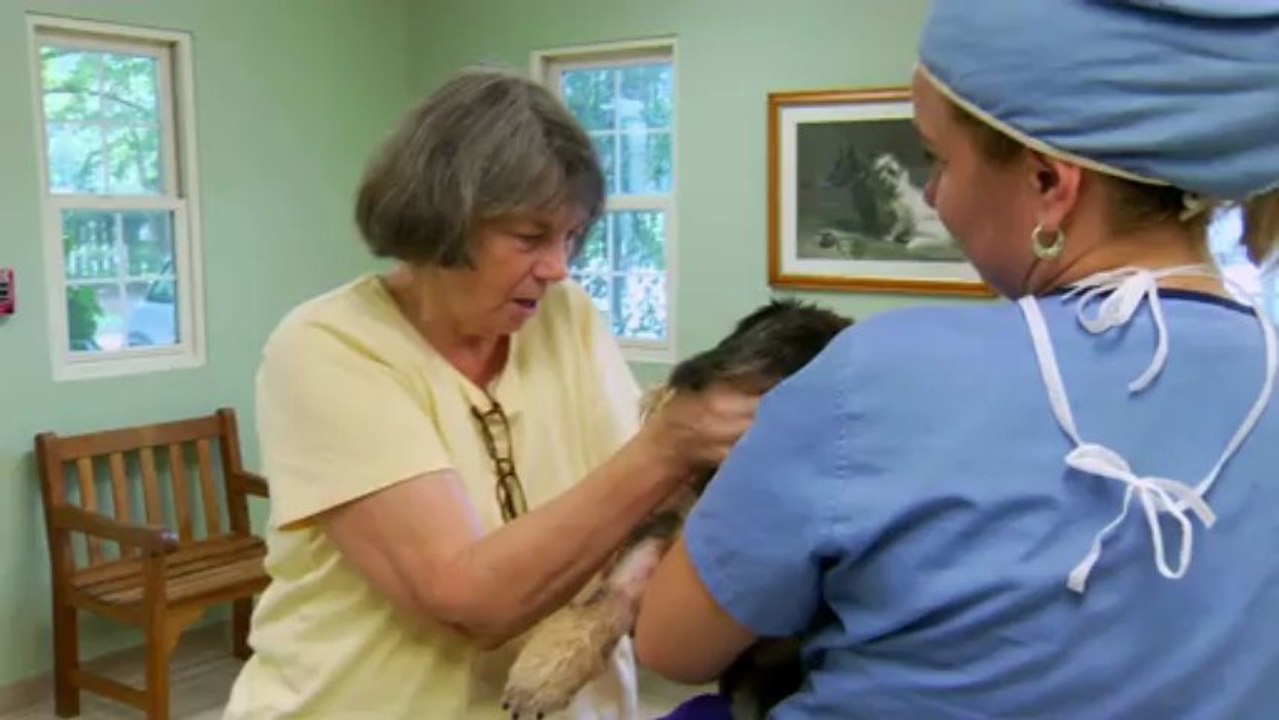 Rescue Vet Ep 07