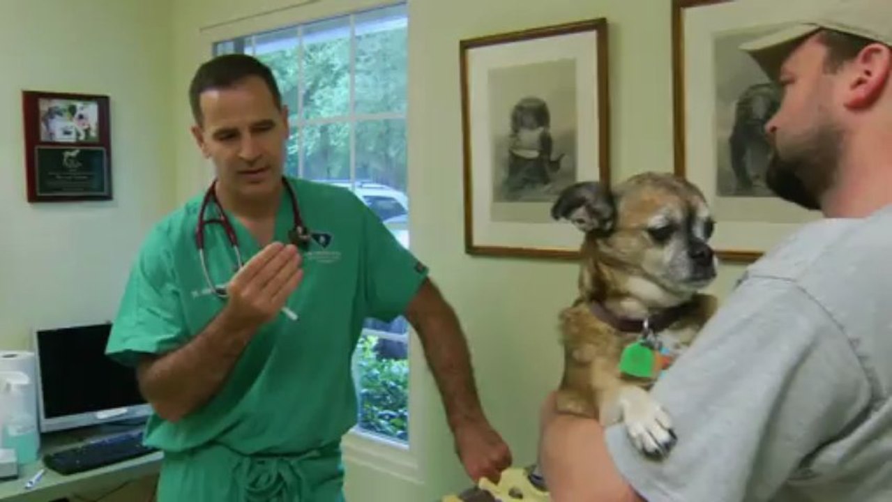 Rescue Vet Ep 09
