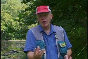 Fly Fishing For Small Mouth Bass