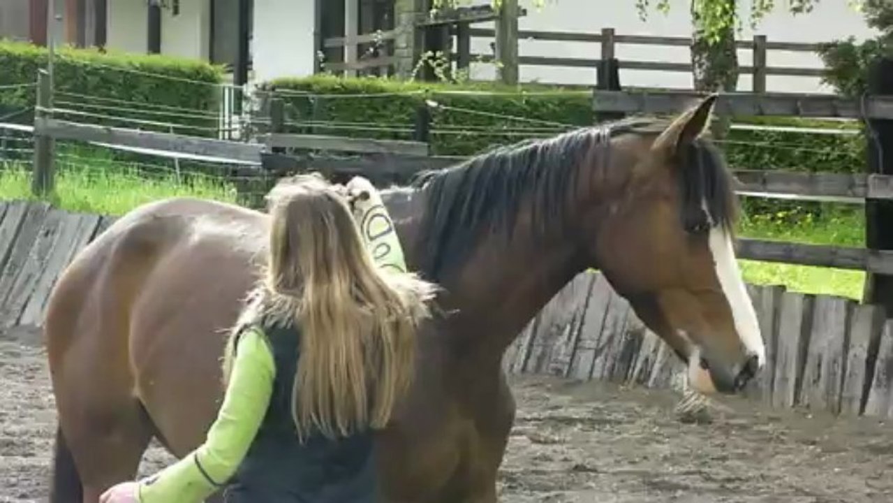 Voltée liberté mai 2013