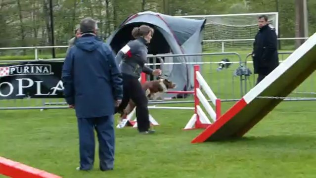 Agility Sélectif GPF 2013- Dakota