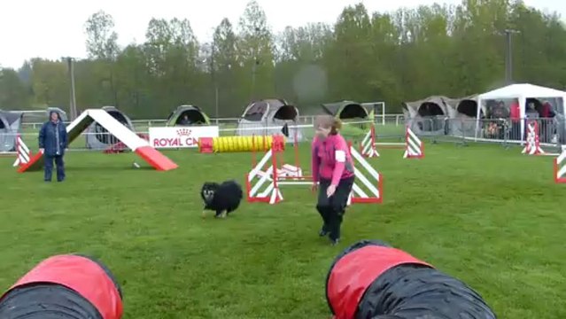 Agility Sélectif GPF Arpajon 2013-Caija