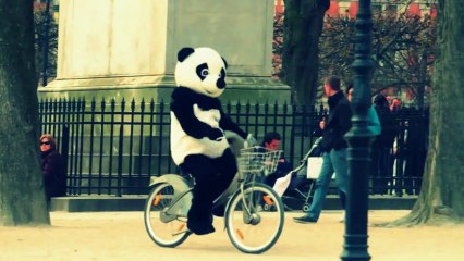 WWF : "Save the christians" (Coldplay "Paradise" - Panda Parody)