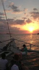 Bahamas Catamaran Tour