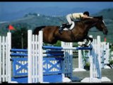 Horse Ballet? Equestrian Dressage Reviews