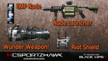 Black Ops 2 - Zombie Weapons List - (BO2 Zombie Guns and Equipment)