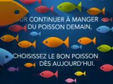 Bien choisir son poisson, c’est bon pour la Mer, c’est bon pour vous !